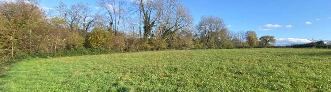 Terrain de nature agricole à Escou (64870)