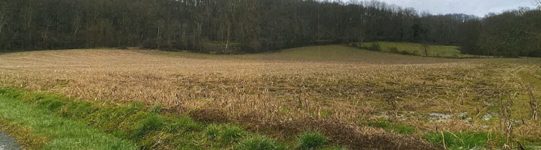 Plusieurs parcelles de terre agricole et bois et forêt à Oraas (64390)