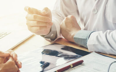 Bulletin Elige – Numéro 11