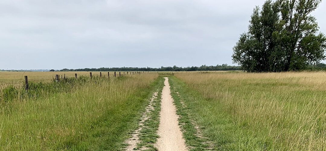 Perte de la servitude de passage après 30 ans : comment l&rsquo;éviter ?