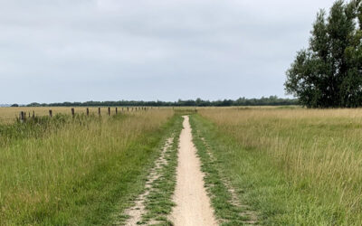 Perte de la servitude de passage après 30 ans : comment l’éviter ?